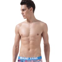 Briefs 4018-SJ-BR