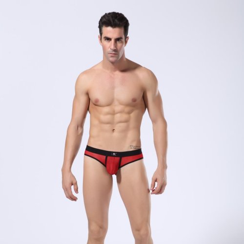 Briefs 2003-SJ