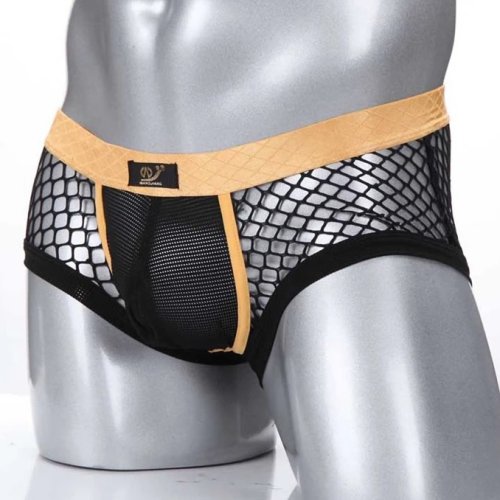 Boxer 2015-PJ