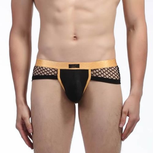 Briefs 2015-SJ