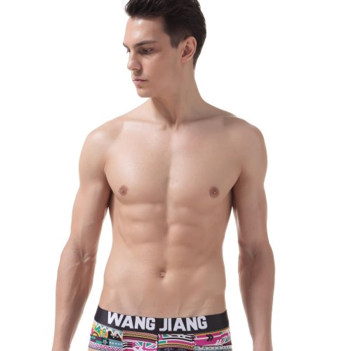Briefs 4018-SJ-NT