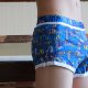 Boxer 1033-PJ - Vista 2