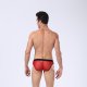 Briefs 2003-SJ - Vista 3