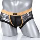 Boxer 2015-PJ - Color 50