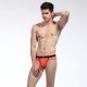 Briefs 2015-SJ - Color 77 - Vista 2