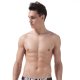 Briefs 4018-SJ-NT