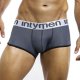 Boxer Trunk ING050